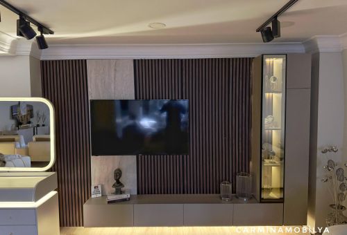 PARİS TV ÜNİTESİ