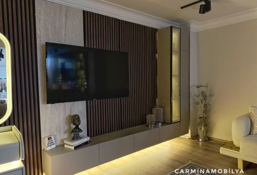 PARİS TV ÜNİTESİ