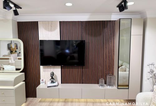 PARİS TV ÜNİTESİ